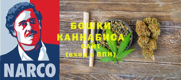 ГАЛЛЮЦИНОГЕННЫЕ ГРИБЫ Семёнов