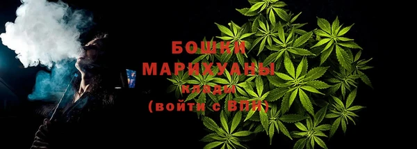 ГАЛЛЮЦИНОГЕННЫЕ ГРИБЫ Семёнов