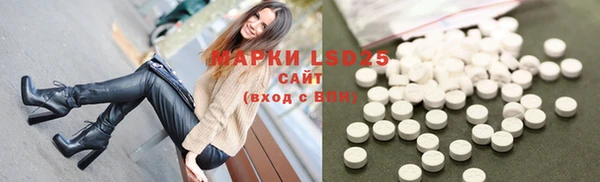 ГАЛЛЮЦИНОГЕННЫЕ ГРИБЫ Семёнов