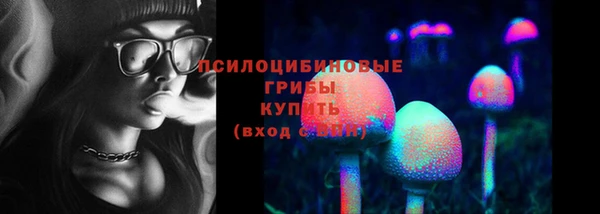 mdpv Николаевск-на-Амуре