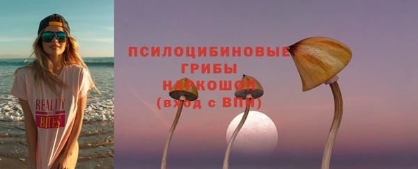 прущий лед Семилуки