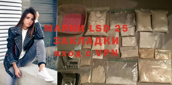 ГАЛЛЮЦИНОГЕННЫЕ ГРИБЫ Семёнов