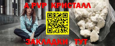 ECSTASY Гатчина