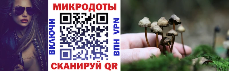 Псилоцибиновые грибы мицелий Спасск-Дальний