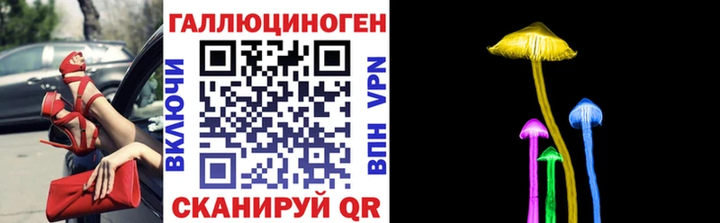 Галлюциногенные грибы Psilocybine cubensis  Спасск-Дальний 