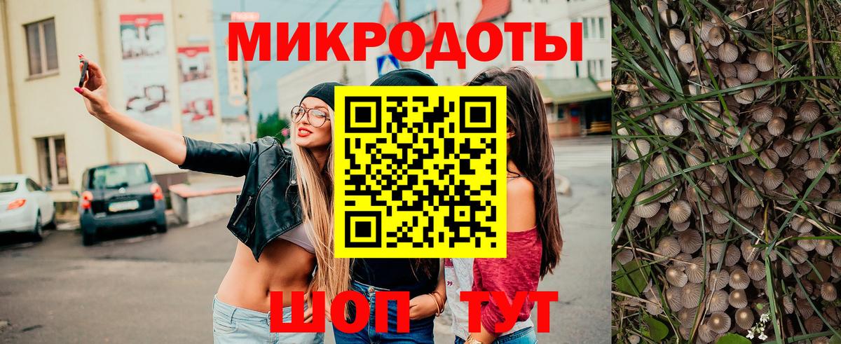 купить  цена  Галлюциногенные грибы GOLDEN TEACHER  Вход с VPN  Спасск-Дальний 