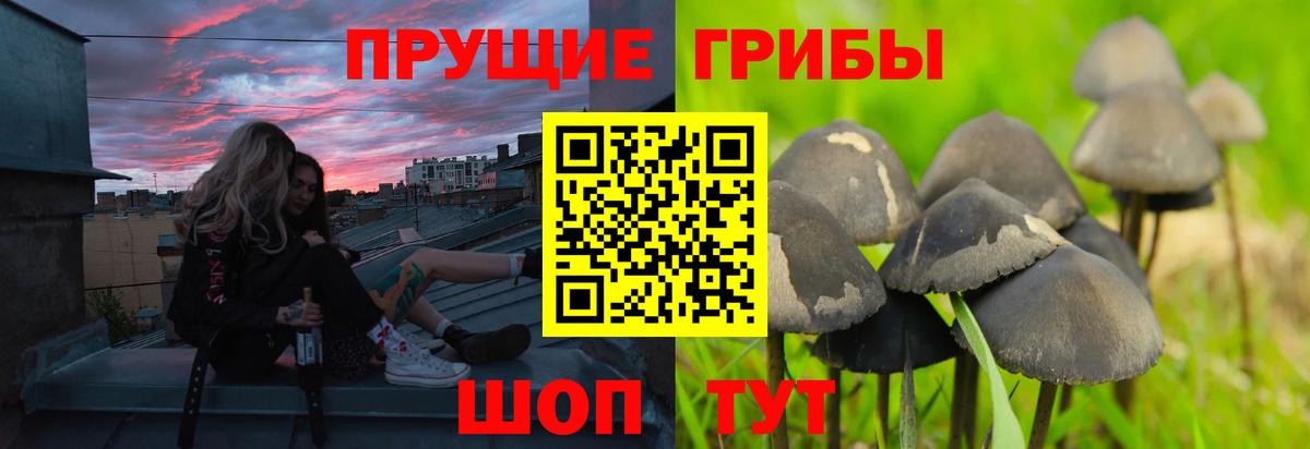 Галлюциногенные грибы мицелий Спасск-Дальний